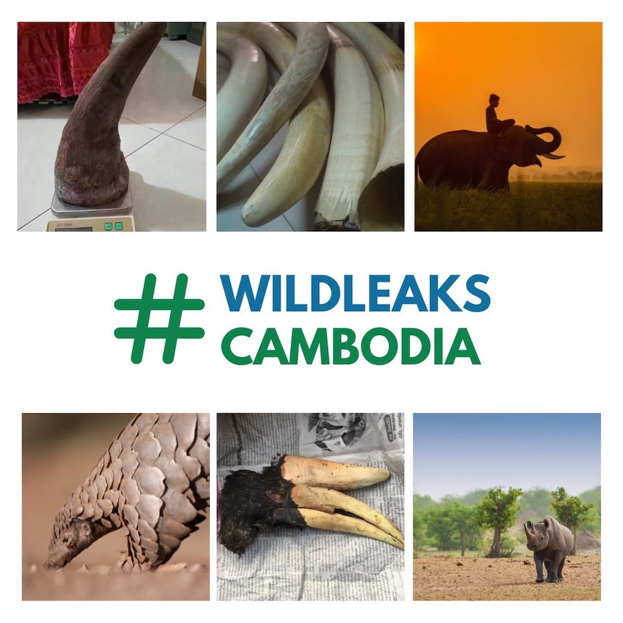 Wildleaks