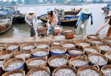 phu-quoc fish sauce