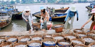 phu-quoc fish sauce