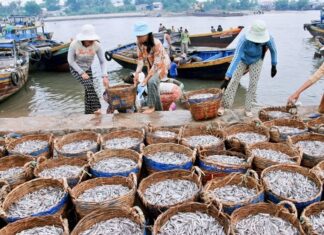 phu-quoc fish sauce