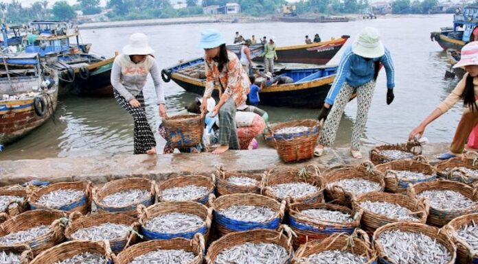 phu-quoc fish sauce