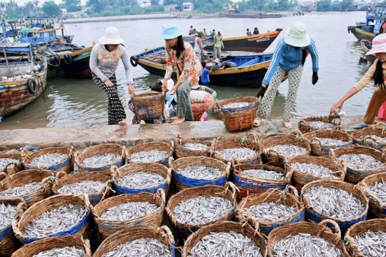 phu-quoc fish sauce