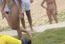 tortue marine Phuket