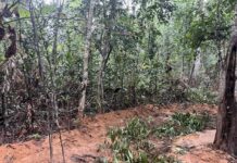 tranchées rebouchées frontière Thaïlande Cambodge