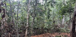 tranchées rebouchées frontière Thaïlande Cambodge