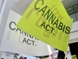 Manifestation Pro Cannabis