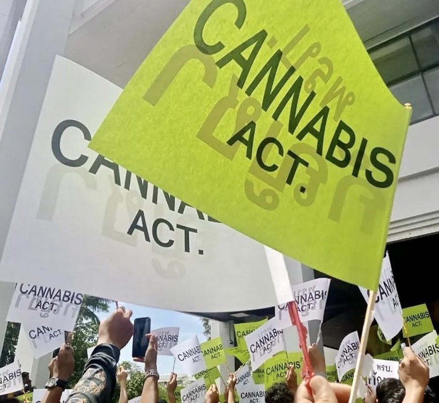 Manifestation Pro Cannabis