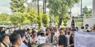 Cannabis manifestants