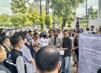Cannabis manifestants