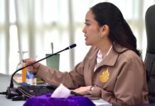 Ing Shinawatra