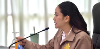 Ing Shinawatra
