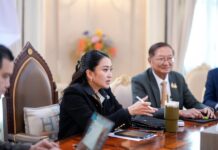 Ing Shinawatra