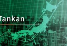 Tankan Japon