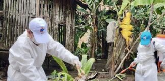 H5N1 Cambode
