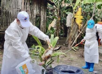 H5N1 Cambode