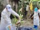 H5N1 Cambode