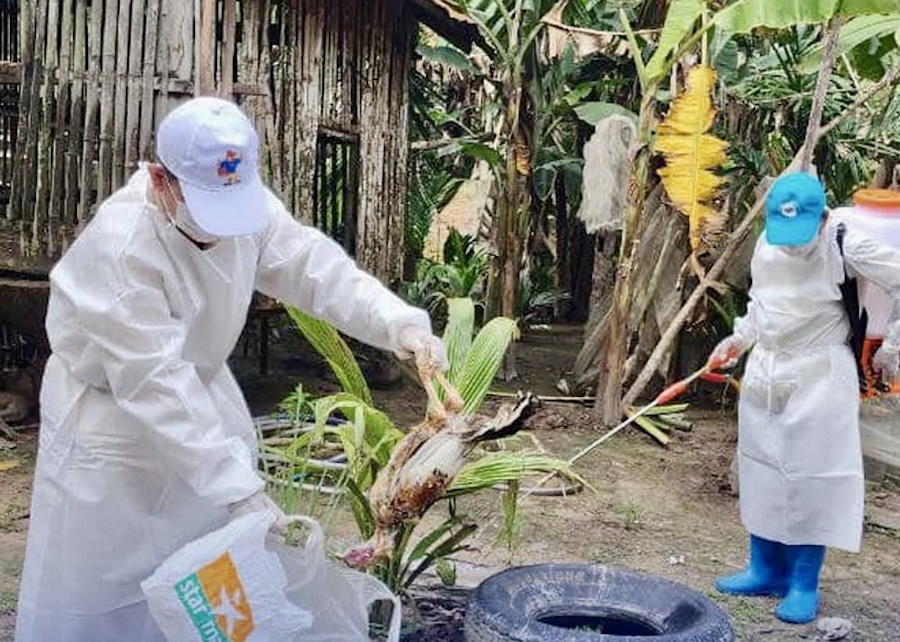 H5N1 Cambode