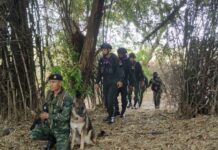 armée thaïlandaise