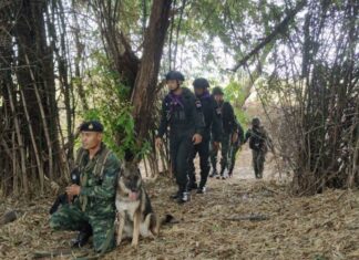 armée thaïlandaise