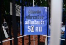 loi amnistie
