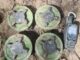 THAÏLANDE – CAMBODGE : L’armée thaïlandaise accuse le Cambodge d’avoir posé de nouvelles mines antipersonnel mines anti-personnel