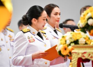 Ing shinawatra