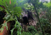 Parc national Khun Khan à Chiang Mai