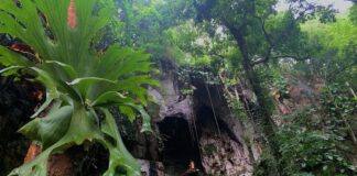 Parc national Khun Khan à Chiang Mai