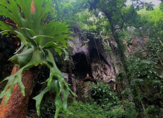 Parc national Khun Khan à Chiang Mai