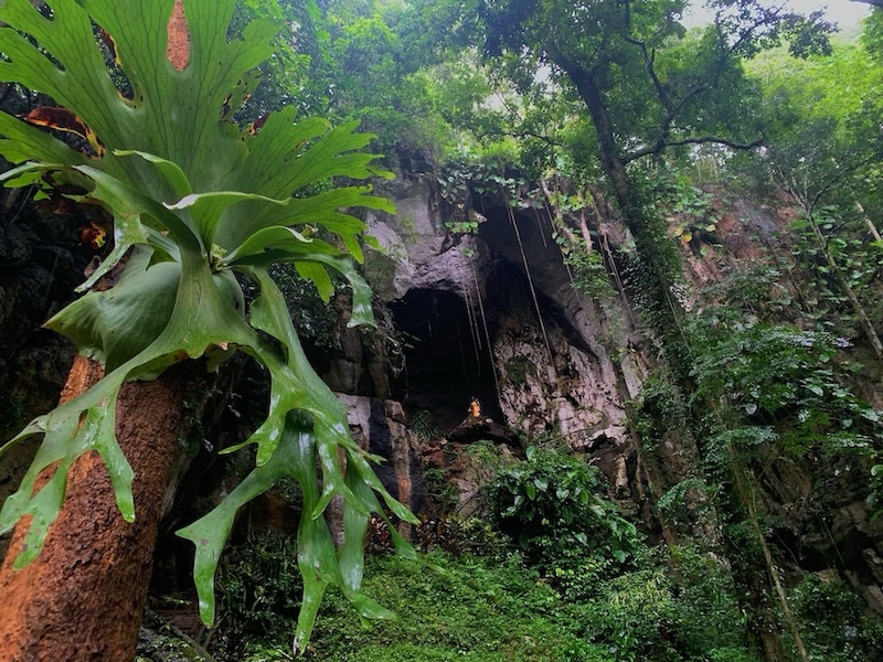 Parc national Khun Khan à Chiang Mai