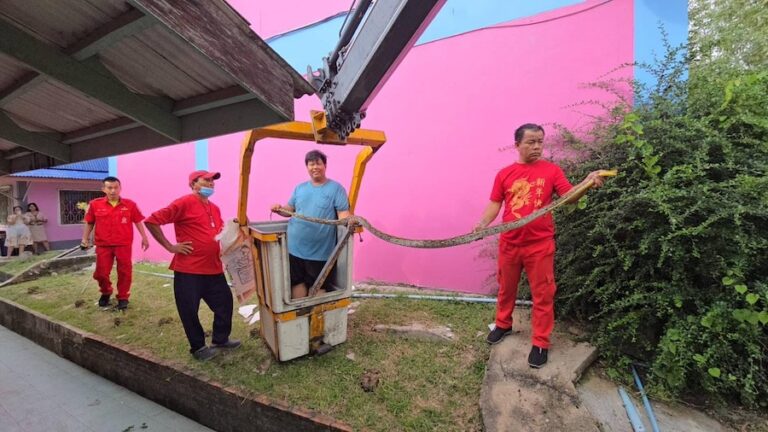 THAÏLANDE – SOCIÉTÉ : Un python de 15 kg découvert dans le plafond d’une école