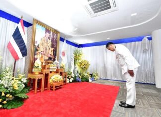 Anutin hommage au roi de Thaïlande