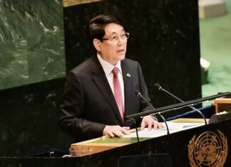 Luong Cuong UN