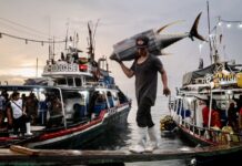 Pêcheurs Philippins