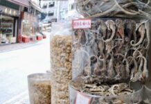 THAÏLANDE – SANTÉ : Hippocampes séchés, un marché à relancer