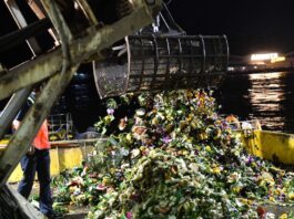 THAÏLANDE – CHRONIQUE : Les krathong, ou la pollution par les vœux Loy Khratong nettoyage