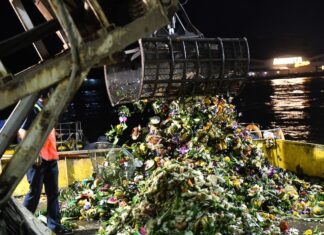 Loy Khratong nettoyage