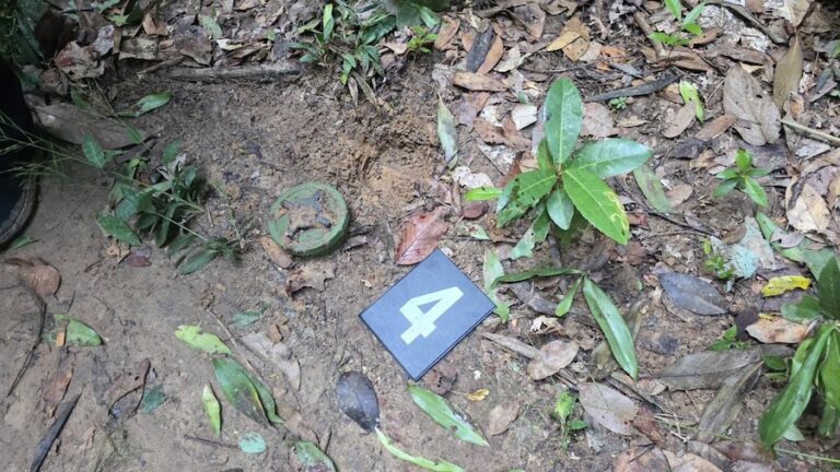 THAÏLANDE – CAMBODGE : Tensions après l’explosion d’une mine antipersonnel à la frontière