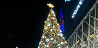 Central world Noël