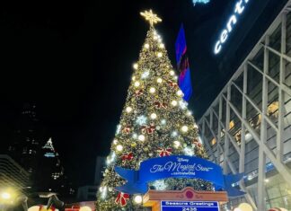 Central world Noël