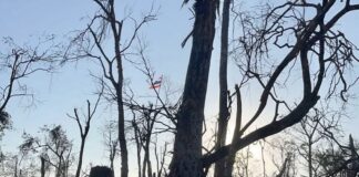 THAÏLANDE – CAMBODGE : Les troupes thaïlandaises récupèrent les corps de deux soldats Montagne 350