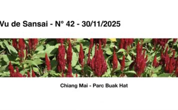 ASIE DU SUD-EST – FRANCE : Une belle revue à partager, « Vu de Sansai »
