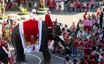 THAÏLANDE – TRADITION : À Ayutthaya, les éléphants enfilent le costume de Père Noël