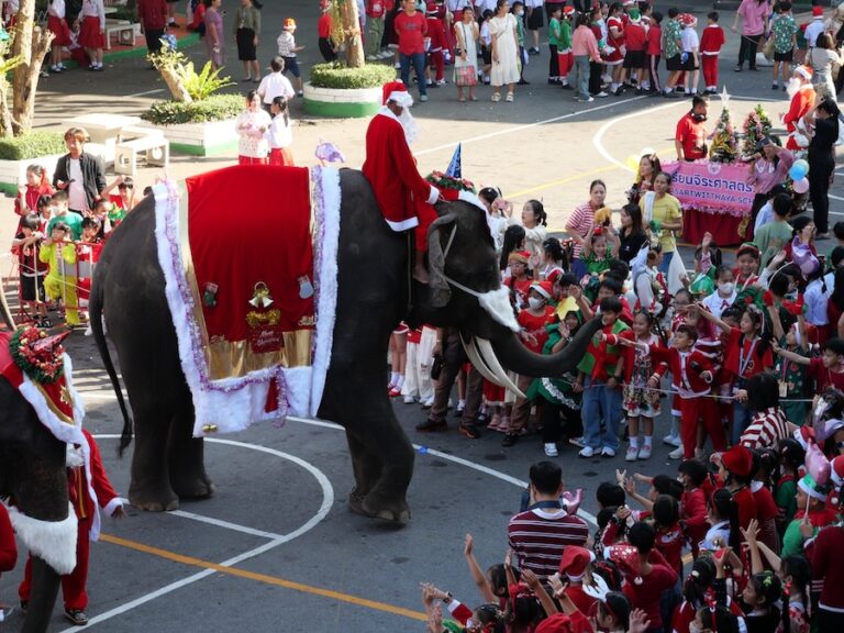 THAÏLANDE – TRADITION : À Ayutthaya, les éléphants enfilent le costume de Père Noël