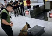 PHILIPPINES – SOCIÉTÉ : Une septuagénaire helvético-suédoise meurt dans une prison philippine