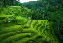 Bali paysage