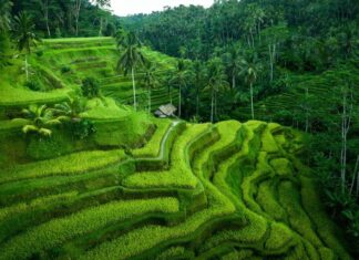 Bali paysage