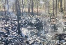 Crash avion militaire Thaïlande