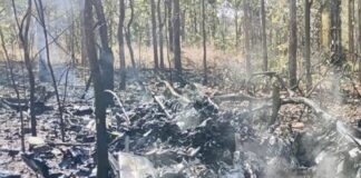 THAÏLANDE – DÉFENSE : Mort de deux pilotes de l’armée de l’air thaïlandaise Crash avion militaire Thaïlande