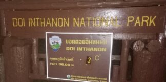 températures Doi Inthanon